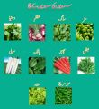 Kitchen Gardening Winter Vegetables Seeds 10 Packs. 