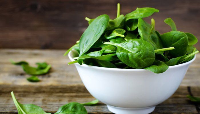 Spinach%20/%20Palak%20Vegetable%20Seeds%20-%20High%20Germination%20Rate%20-%20Image%203