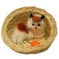 Beautiful Cat In Basket With Live Sound On Motion Decoration. 