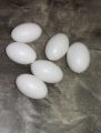 (9 or 18 Pcs) Artificial Plastic Eggs - Dummy eggs of Bird - Bird's Egg Size Plastic Hollow Shell. 