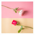 Colorful Dualsided Matte Effect PVC Photographic Backdrop Board for Photography Studio Photo Background Waterproof Dustproof Pad. 