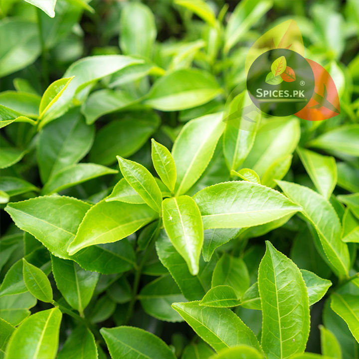 Premium%20Peshawari%20Kahwa%20285g%20%E2%80%93%20Authentic%20Green%20Tea%20Qahwa%20with%20Cardamom,%20Cinnamon%20&%20Cloves%20%E2%80%93%20Traditional%20Aromatic%20Tea%20for%20Everyday%20Enjoyment%20-%20Authentic%20Green%20Tea%20Qahwa%20-%20Slimming%20Tea%20for%20Weight%20Loss%20&%20Metabolism%20-%20Image%207