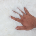 Indoor Shaggy carpet for bedroom - Fluffy Non-Shedding floor Mat for Living Room. 