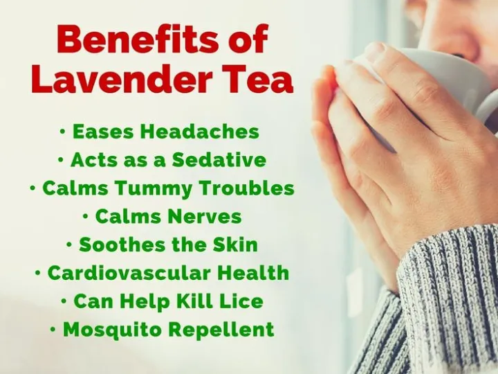 Lavender%20Tea%20100gm%2050gm%20-%20Relaxes%20Your%20Body%20Improves%20Sleep%20,%20Digestive%20&%20Immune%20System%20-%20Image%203
