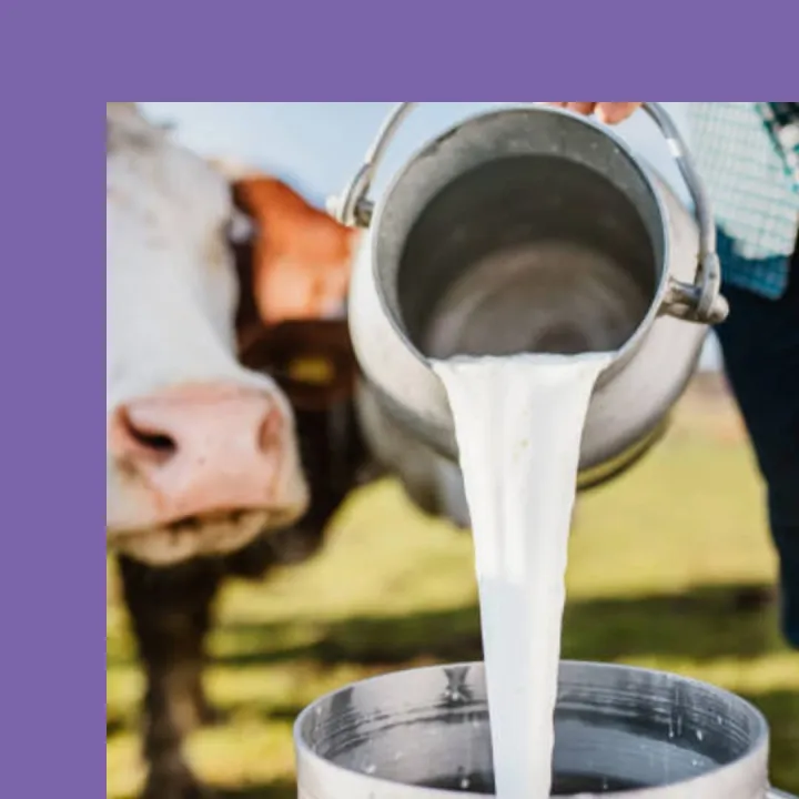 Milka%20Caramel%20100%25%20Alpine%20Milk%20Chocolate%20original%20and%20imported%20100%20g%20-%20Image%203
