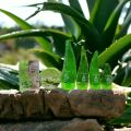 Pack Of 6 Aloe Vera Gel Soothing And Resistant 99.9% Soothing Gel For Girls And Women. 