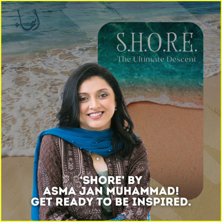 S.H.O.R.E.%20-%20THE%20ULTIMATE%20DESCENT%20-%20Image%204