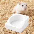Hamster Food Bowl Ceramic Feeding Bowl for Chipmunk Dwarf Hamster Ferret. 