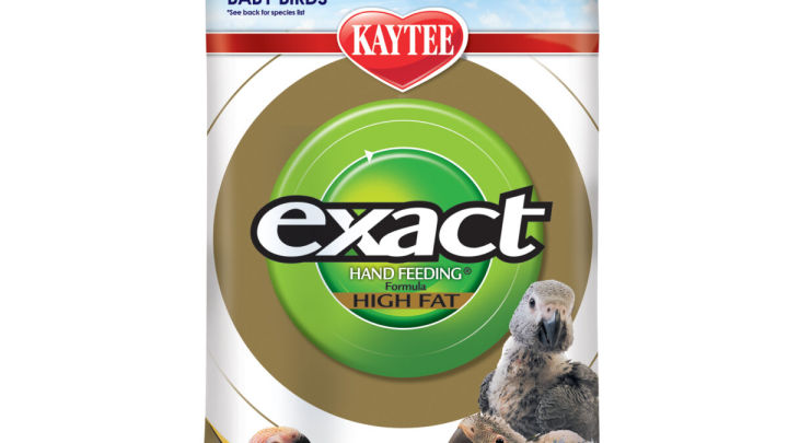Kaytee%20Exact%20Hand%20Feeding%20for%20Baby%20Bird%20250%20gram,%20%20Long%20Expiry%20-%20Expiry%20march%202025%20Loose%20Packet%20-%20Image%205