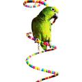 Colourful Rotate Ladder Toy for Bird Parrot Budgie Parakeet Cockatiel Conure Lovebird Finch Canary Cockatoo African Grey Amazon Cage Perch Stand. 