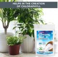Epsom Salt For Plants 500 Grams Pack - Natural Mineral Fertilizer - Epsom Salt Bath (PAKISTAN MADE). 