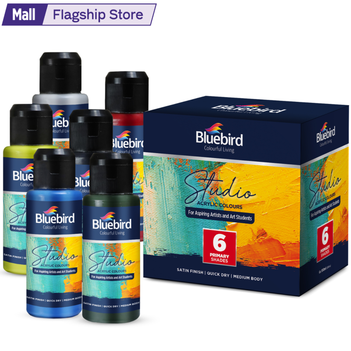 Bluebird Studio Acrylic Paints Set, Acrylic Colors Set of 6 x 100 ml for Students, Kids & Hobby painters, Non Toxic Water Based Quality Acrylic Colors