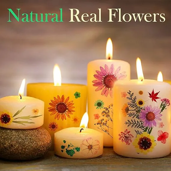 1%20pack%20White%20Daisy%20Flowers%20-%20Dried%20Pressed%20flowers%20for%20Resin%20Art%20-%20Image%207