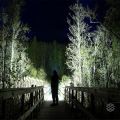 6 LED torch light powerful japan torchlight powerful flashlight rechargeable 18650 Battery mini flashlight Portable Lamp USB flash light waterproof Rechargeable emergency light COB Light LED Flashlight for Camping Light. 
