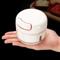 Manual Food Chopper - Mini Hand Pull Food Processor Garlic Press Mincer Vegetable Grinder for Meat Nuts Pepper. 