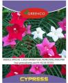 Cypress (Ipomoea quamoclit) Creeper Mix Colour Spring Summer Season Flower Seeds. 