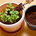 Coco Peat ready to use for plants seedling - seed sowing - potting mix - Organic Water Retention - Plant Growth, کوکو پیٹ, High-Quality plant Soil - Improved Soil Structure by Moji Mall. 
