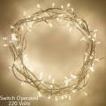 Good Quality 20 ft fancy Golden Yellow Fairy Light String Still - Ideal for Eid Milad Melad Mirror Ring Light Garden Wedding Birthday Party Christmas Home Decoration items Non LED. 