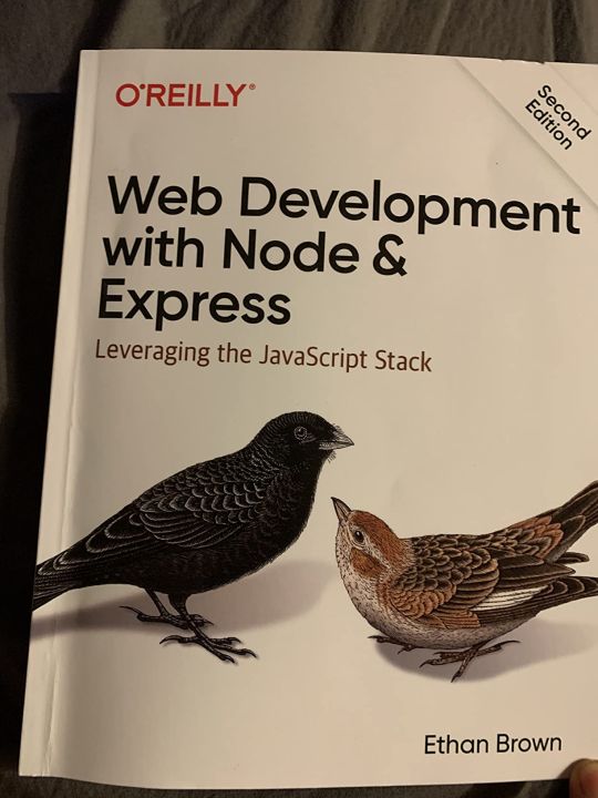 Web%20Development%20with%20Node%20and%20Express:%20Leveraging%20the%20JavaScript%20Stack%202nd%20Edition%20-%20Image%202