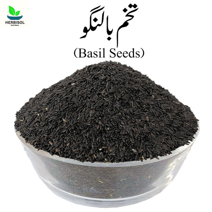Tukh%20Malanga%20500gm%20%D8%AA%D8%AE%D9%85%20%D8%A8%D8%A7%D9%84%D9%86%DA%AF%D9%88%20-%20Basil%20Seeds%20-%20100%25%20Original%20,%20Fresh%20Pure%20Tukham%20Balango%20/%20Tukhm%20Blango%20Seed%20Half%20KG%20by%20Herbisol%20-%20Image%202