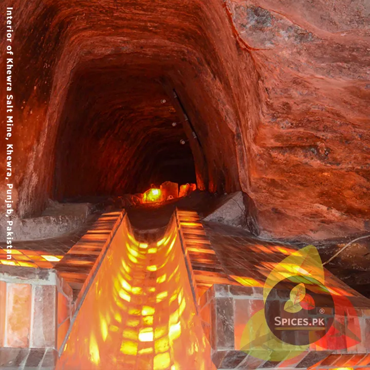 Himalayan%20Pink%20Salt%20Coarse%20Grain%20350g%20%E2%80%93%20Premium%20Natural%20Rock%20Salt%20/%20Mine%20Salt%20for%20Cooking,%20Grinding%20&%20Seasoning%20-%20Image%207
