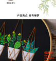 Embroidery Kit Hanging Plants Theme Embroidery Kit For Home Decoration.. 
