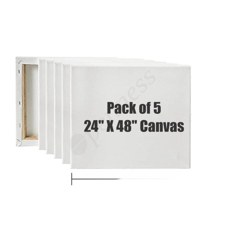OPENNESS - Canvases for Painting - Pack of 05 24 x 48 Inch Blank White Canvas  - 100% Cotton