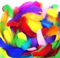 Pack of 12 Colorful Feathers for DIY Craft Wedding Home Party Decorations. 