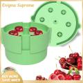 Enigma- Convenient Cherry Destoner 6-hole Stainless Steel Cherry Olive Pitter Tool Easy Clean Portable Core Remover for Prunes Multi-function Fruit Pitting Tool Fruit Pit Remover Tool. 