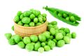 Peas (Mattar) Vegetables Seeds - Seeds Vegetables Packet - Excellent Germination - Healthy Vegetable. 