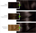 Garnier Color Naturals - 3 Dark Brown Hair Color. 