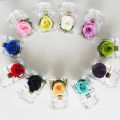 Ring Holder All Match Micro Landscape Forever Rose Ring Box. 