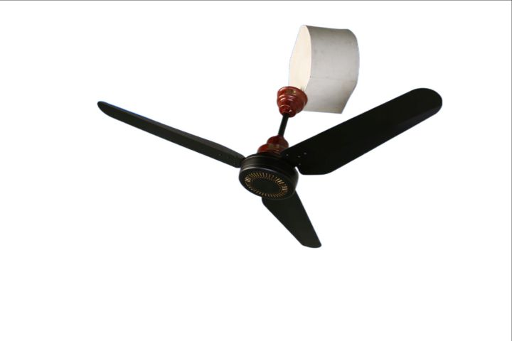 Pak%20Fan%20Ceiling%20Fan%2056"%20Flroal%20Classic%20Ac/Dc%20-%20Image%206