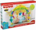 Fisher Price: FOLDING ACTIVITY GYM (W9840). 