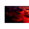 Car Decor Sticker Sun-proof Large Size Rear Window Glass Poster. 