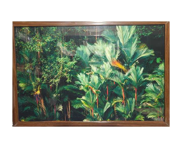 18x24 landscape frame/poster frame/matted landscape frame