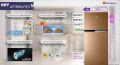 DAWLANCE 8 CUBIC FEET REFRIGERATOR 9140 WB CHROME PEARL COPPER , 226 LITERS small size WITH 12 YEARS WARRANTY. 
