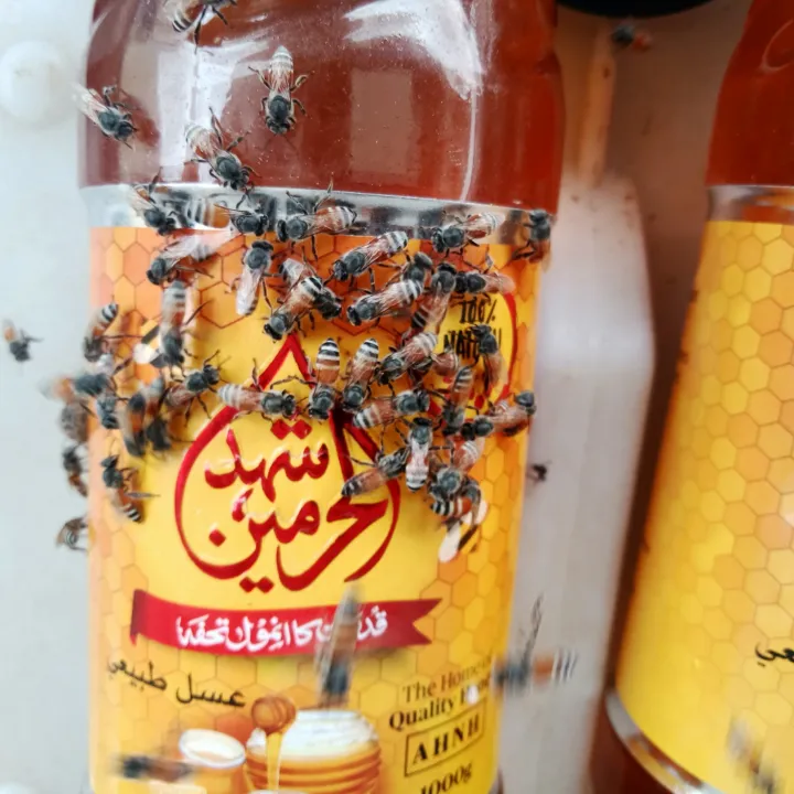 Pure%20bees%20honey%201kg%20(best%20export%20high%20quality%20honey)%20purity%20100%25%20guarantteed-%20for%20daily%20use%20-%20Image%203