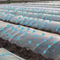 20x Film Netting Greenhouse Film Clamps Greenhouse Covering Accessories Greenhouse Hoops Film Clamps for Garden for Plants Gardening Farming. 