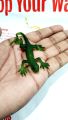 Soft Lizard Rubber Chipkali (Pack of 2) Toys for Fun Kids Rubber Lizard Artificial. 