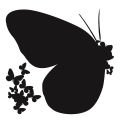 Flying Butterflies Wooden Wall Decor BIG BUTTERFLY WALL Decor, 3D Self Adhesive Wall Clock. 