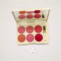 TV PARLOUR Original Matte Blush on kit 6 IN 1 Professional Blush Palette Blusher Makeup kit For All Girls. 