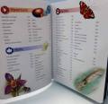 Mini Science Encyclopedia. 
