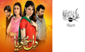 Dil Mom Ka Diya Novel By Saira Raza best selling urdu reading book. 