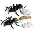 New Realitic Ant Growth Cycle Figurine et Kid imulated Animal Educational Toy. 