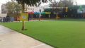 Artificial Grass - Real Feel American Grass -20Mm / Floor Mat / Bath Room Mat / Entrance Mat. 