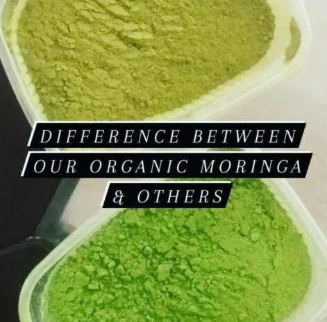 Moringa%20powder%20in%20Pakistan%20%E2%80%93%20Organic%20leaves%20powder%20%20250%20g%20%20Moringa%20powder%20in%20Pakistan%20%E2%80%93%20Organic%20leaves%20powder%20%20250%20g%20%20Moringa%20powder%20in%20Pakistan%20%E2%80%93%20Organic%20leaves%20powder%20%20250%20g%20-%20Image%202