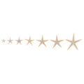 Sea shells size:0.5-3cm 100pcs Mini Starfish Craft Decoration Sea Stars
 ZH. 