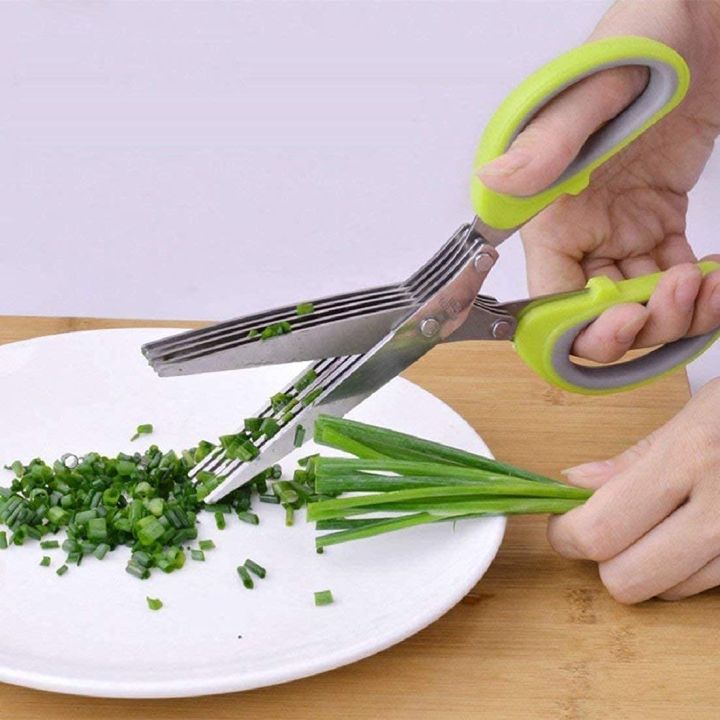 Multi-Functional%20Stainless%20Steel%20Kitchen%20Knives%205%20Layers%20Scissors%20for%20Kitchen%20use%20Cut%20Herb%20Spices%20Cooking%20Tools%20Vegetable%20Leaf%20Scissor%20and%20Cutter%20with%20Cleaning%20Brush%20(Multicolor)%20-%20Image%207