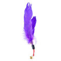 Pet Cat Playing Stick Feather Bell Replacement Head Scratch Interactive Toy. 